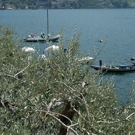 ホテル La Foresta Monteisola